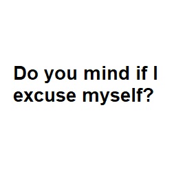 Do you mind if I excuse myself?